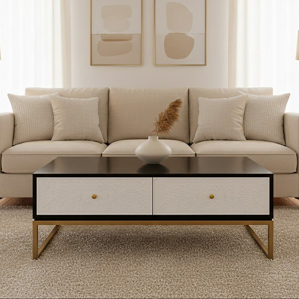 Black & White 4 Drawer Warm Metal Coffee Table With Gold Knob Handle, Dumas