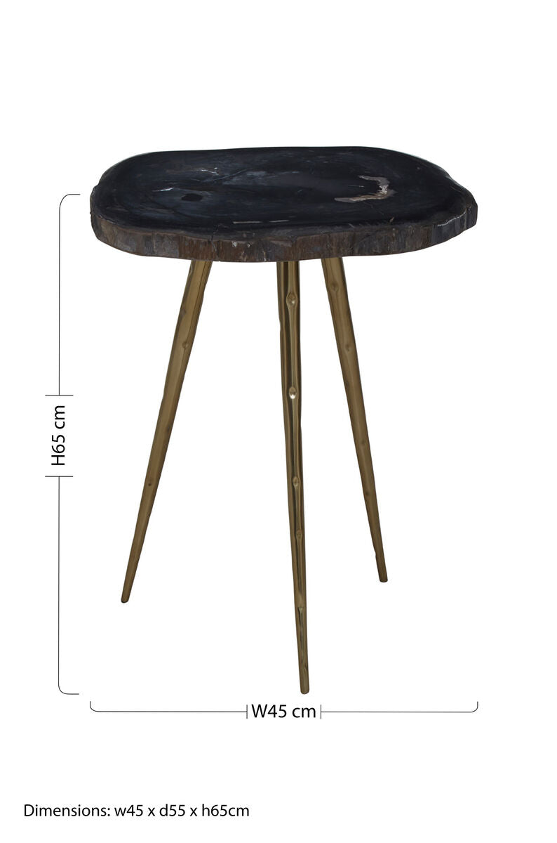 Brown Petrified Wood Top Side Table With Brass Angular Legs, Relic