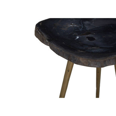 Brown Petrified Wood Top Side Table With Brass Angular Legs, Relic