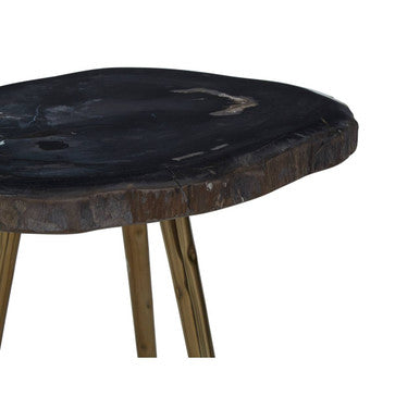 Brown Petrified Wood Top Side Table With Brass Angular Legs, Relic