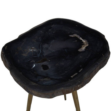 Brown Petrified Wood Top Side Table With Brass Angular Legs, Relic