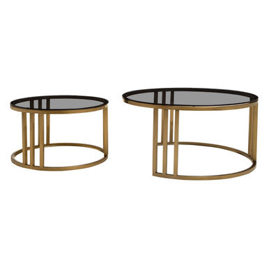 Set Of 2 Tinted Glass Round Tops Nesting Coffee Tables With Brushed Gold Stainless Steel Frames, Alana
