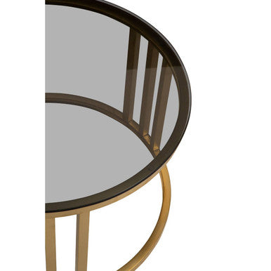 Set Of 2 Tinted Glass Round Tops Nesting Coffee Tables With Brushed Gold Stainless Steel Frames, Alana