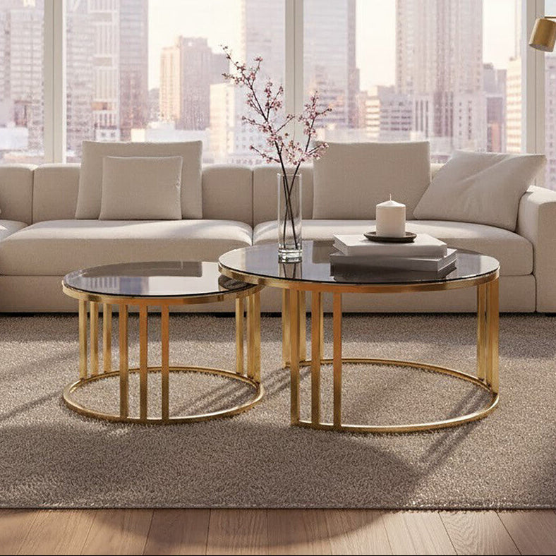 Set Of 2 Tinted Glass Round Tops Nesting Coffee Tables With Brushed Gold Stainless Steel Frames, Alana