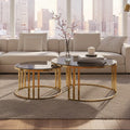 Set Of 2 Tinted Glass Round Tops Nesting Coffee Tables With Brushed Gold Stainless Steel Frames, Alana