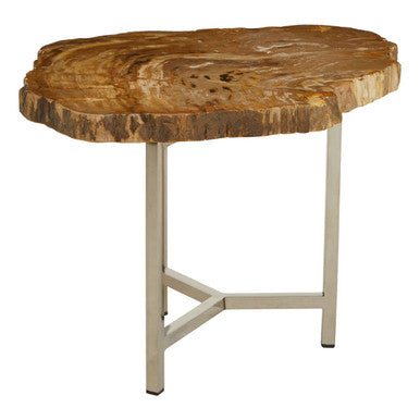 Natural Small Rustic Petrified Wood Top Side Table With Silver Metal Frame, Relic