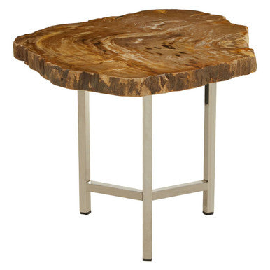 Natural Small Rustic Petrified Wood Top Side Table With Silver Metal Frame, Relic