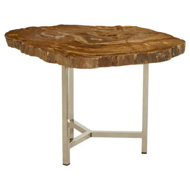 Natural Small Rustic Petrified Wood Top Side Table With Silver Metal Frame, Relic