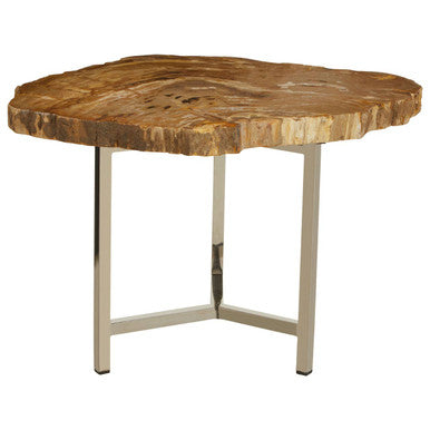 Natural Small Rustic Petrified Wood Top Side Table With Silver Metal Frame, Relic