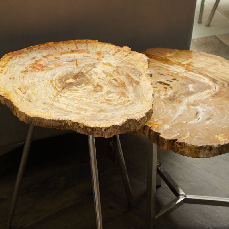 Natural Small Rustic Petrified Wood Top Side Table With Silver Metal Frame, Relic