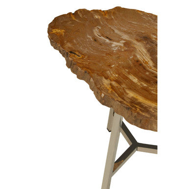 Natural Small Rustic Petrified Wood Top Side Table With Silver Metal Frame, Relic