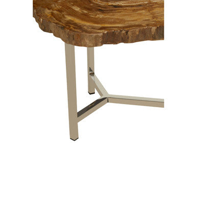 Natural Small Rustic Petrified Wood Top Side Table With Silver Metal Frame, Relic