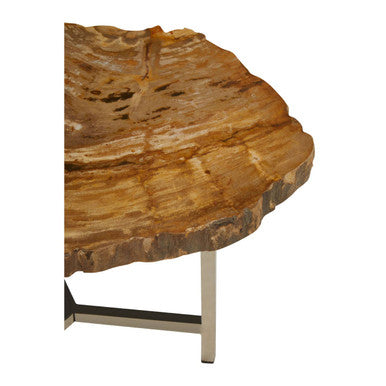 Natural Small Rustic Petrified Wood Top Side Table With Silver Metal Frame, Relic