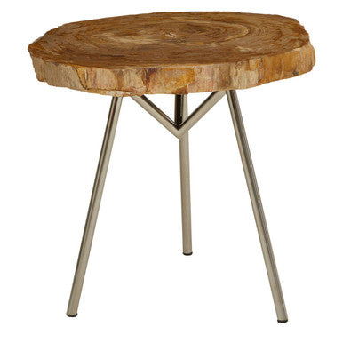 Natural Medium Rustic Petrified Wood Top Side Table With Silver Metal Frame, Relic