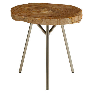Natural Medium Rustic Petrified Wood Top Side Table With Silver Metal Frame, Relic