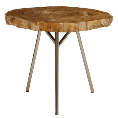 Natural Medium Rustic Petrified Wood Top Side Table With Silver Metal Frame, Relic