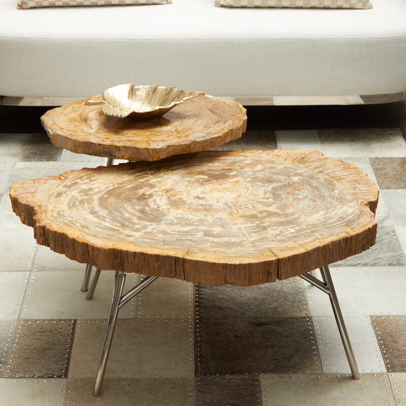 Natural Medium Rustic Petrified Wood Top Side Table With Silver Metal Frame, Relic