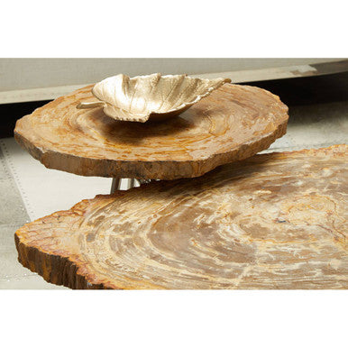 Natural Medium Rustic Petrified Wood Top Side Table With Silver Metal Frame, Relic