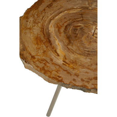 Natural Medium Rustic Petrified Wood Top Side Table With Silver Metal Frame, Relic
