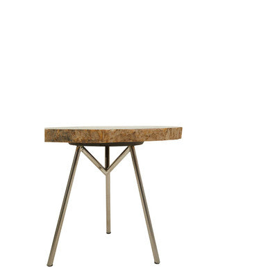 Natural Medium Rustic Petrified Wood Top Side Table With Silver Metal Frame, Relic