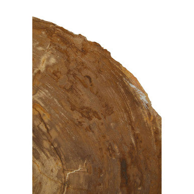 Natural Medium Rustic Petrified Wood Top Side Table With Silver Metal Frame, Relic