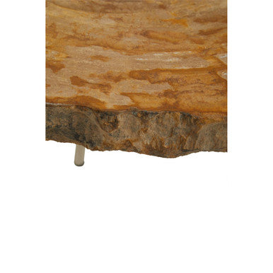 Natural Medium Rustic Petrified Wood Top Side Table With Silver Metal Frame, Relic