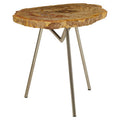 Natural Large Rustic Petrified Wood Top Side Table With Silver Metal Frame, Relic