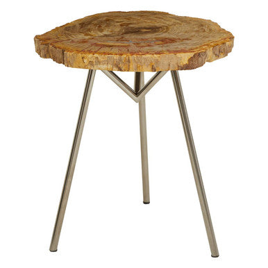 Natural Large Rustic Petrified Wood Top Side Table With Silver Metal Frame, Relic