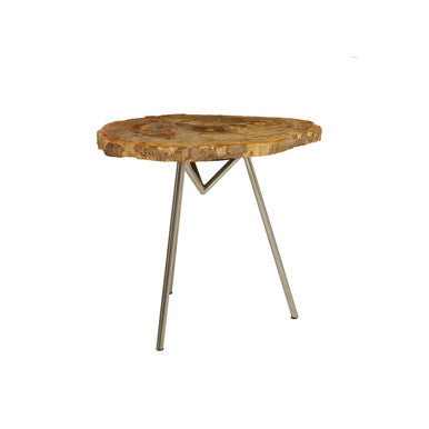 Natural Large Rustic Petrified Wood Top Side Table With Silver Metal Frame, Relic