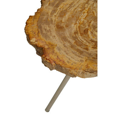Natural Large Rustic Petrified Wood Top Side Table With Silver Metal Frame, Relic