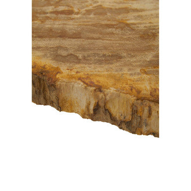 Natural Large Rustic Petrified Wood Top Side Table With Silver Metal Frame, Relic