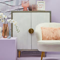 Sareel Two Door Mango Wood Grey Contemporary Cabinet
