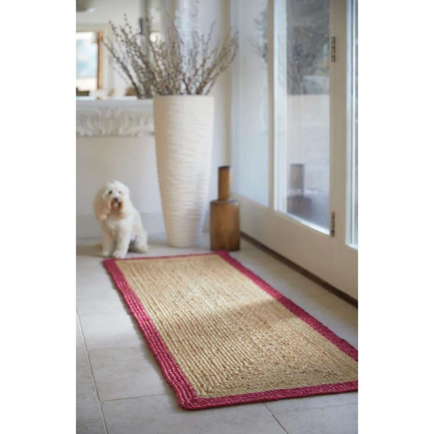 Bordered Raspberry Jute Natural Contemporary Rug