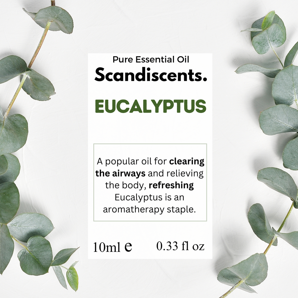 Eucalyptus Glass Natural Essential Oil
