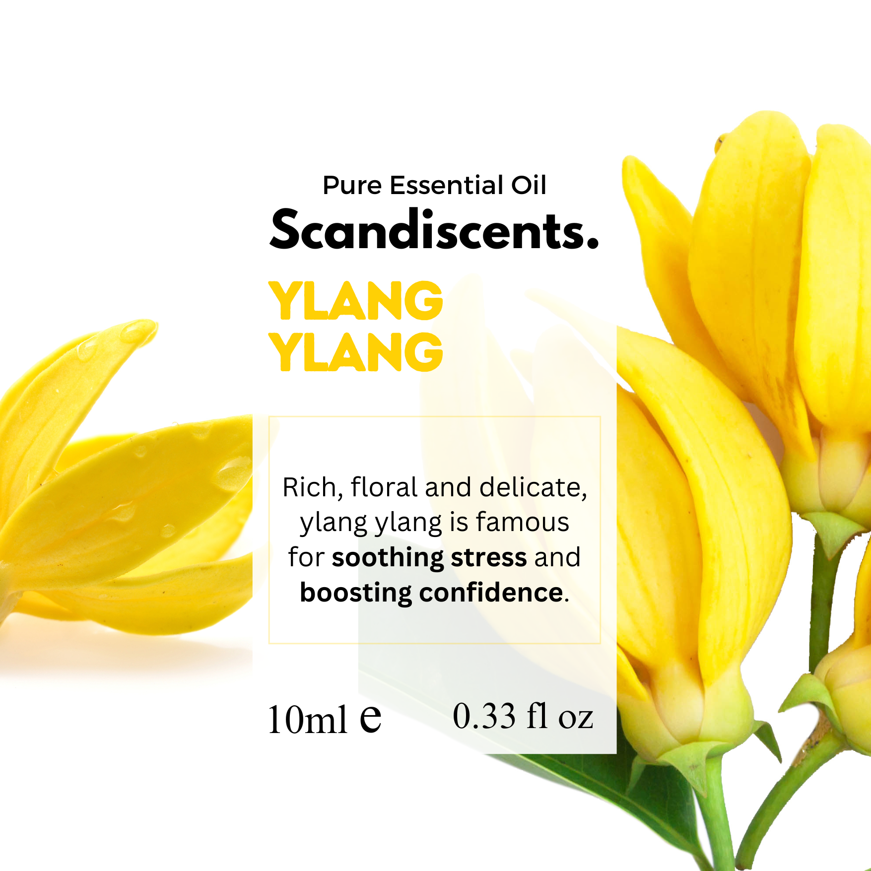 Ylang Ylang Essential Oil