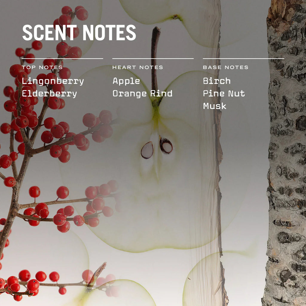 Lingonberry 100ml Reed Diffuser Scandinavian
