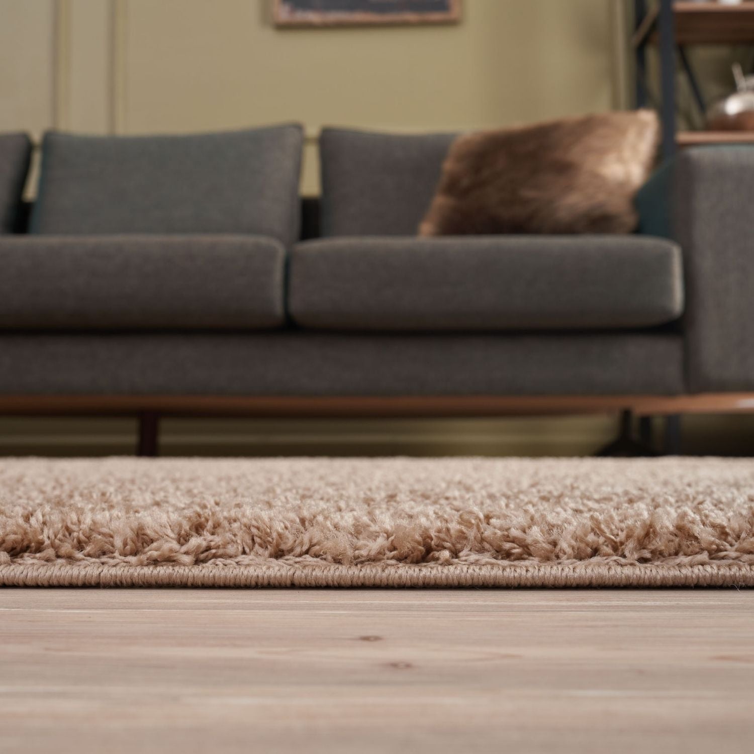Myshaggy Solid Beige Modern Rug